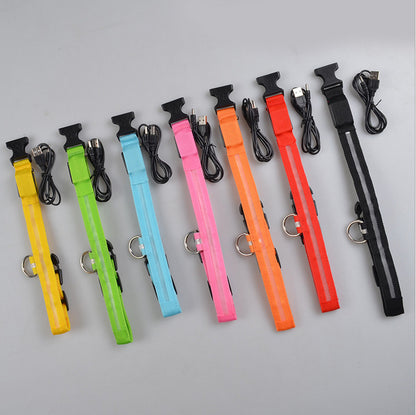 LED Dog/Cat Luminous Collar Night Safety Flashing Glow in Dark Adjustable