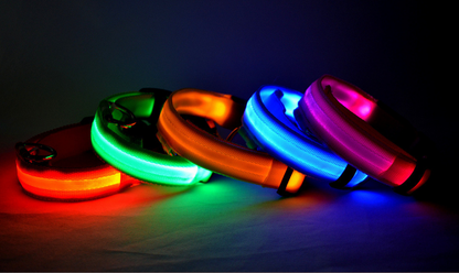 LED Dog/Cat Luminous Collar Night Safety Flashing Glow in Dark Adjustable