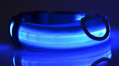 LED Dog/Cat Luminous Collar Night Safety Flashing Glow in Dark Adjustable